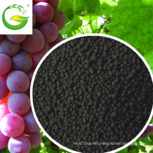 Soluble Organic Fertilizer Humic Acid Granular with NPK